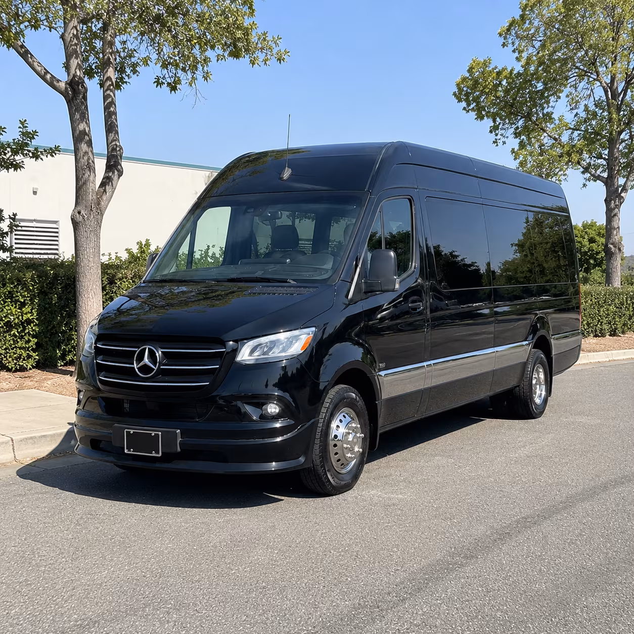 Palm Coast Wedding Transportation & Shuttle Service