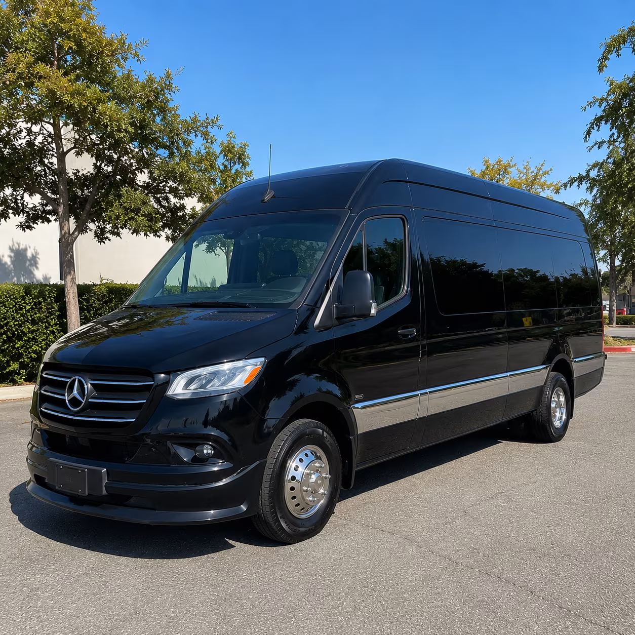 Sprinter Van